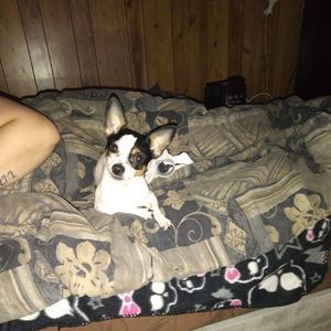 Meet your Posher, Grayson